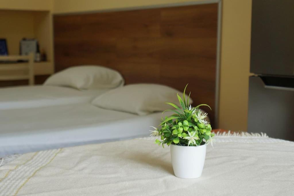 Alle'S M Shyri Studio Apartment Τίρανα Εξωτερικό φωτογραφία