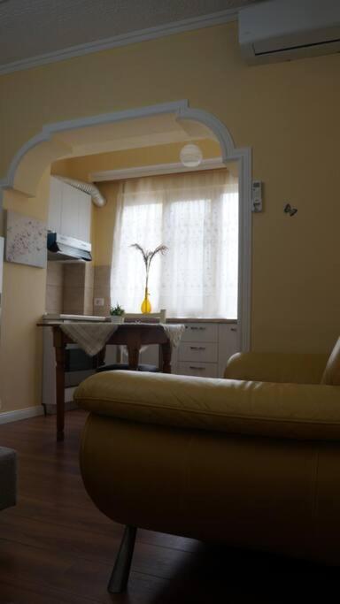 Alle'S M Shyri Studio Apartment Τίρανα Εξωτερικό φωτογραφία