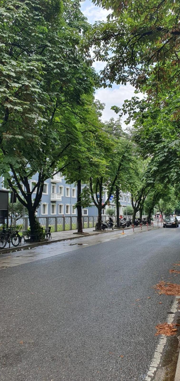 Alle'S M Shyri Studio Apartment Τίρανα Εξωτερικό φωτογραφία